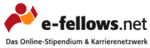 e-fellows.net Logo