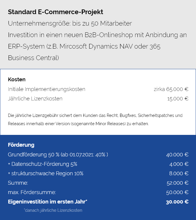Digital Jetzt Beispielrechnung E-Commerce-Projekt 1