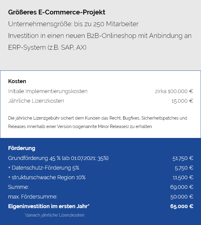 Digital Jetzt Beispielrechnung E-Commerce-Projekt 2